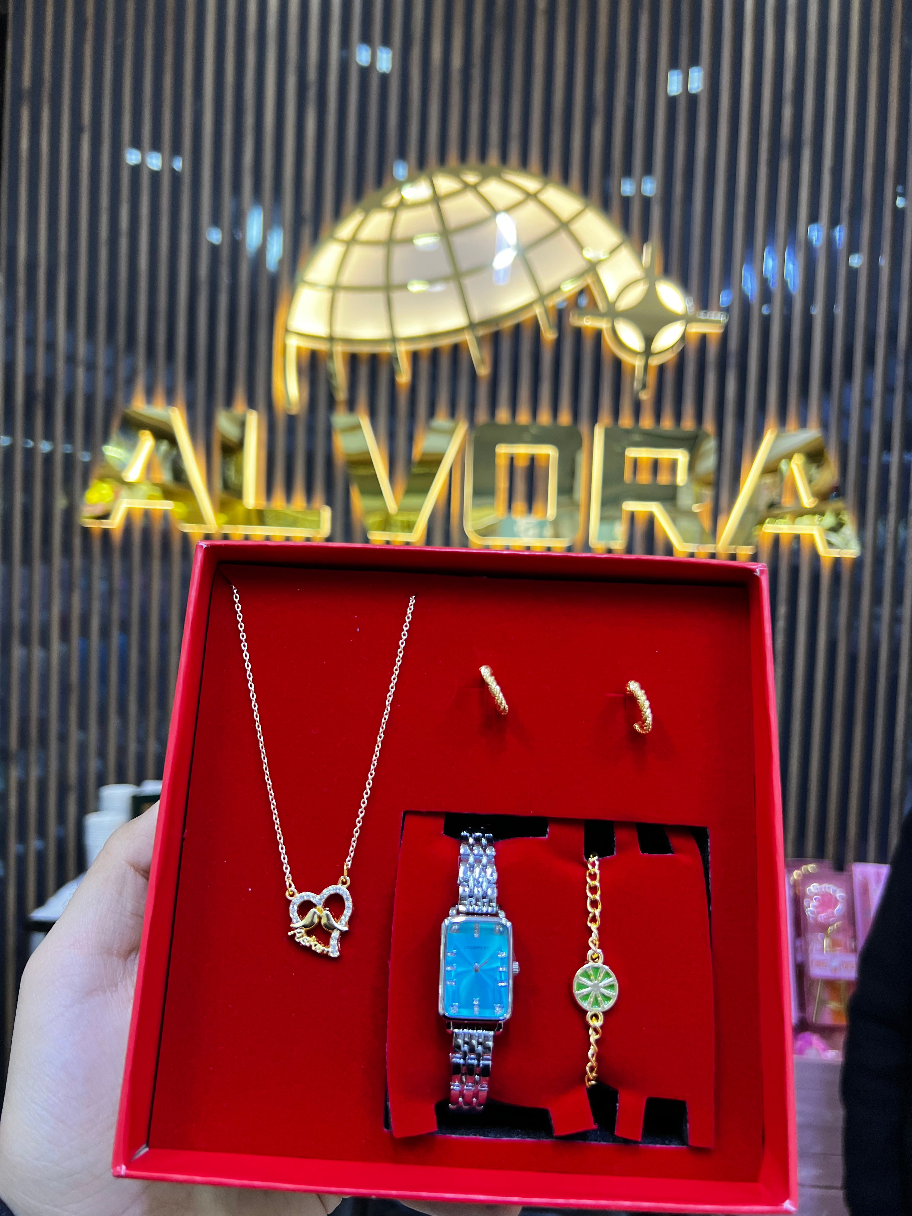 KOMBİN SET 5 PARÇA ÇELİK SAAT ALV-K 166