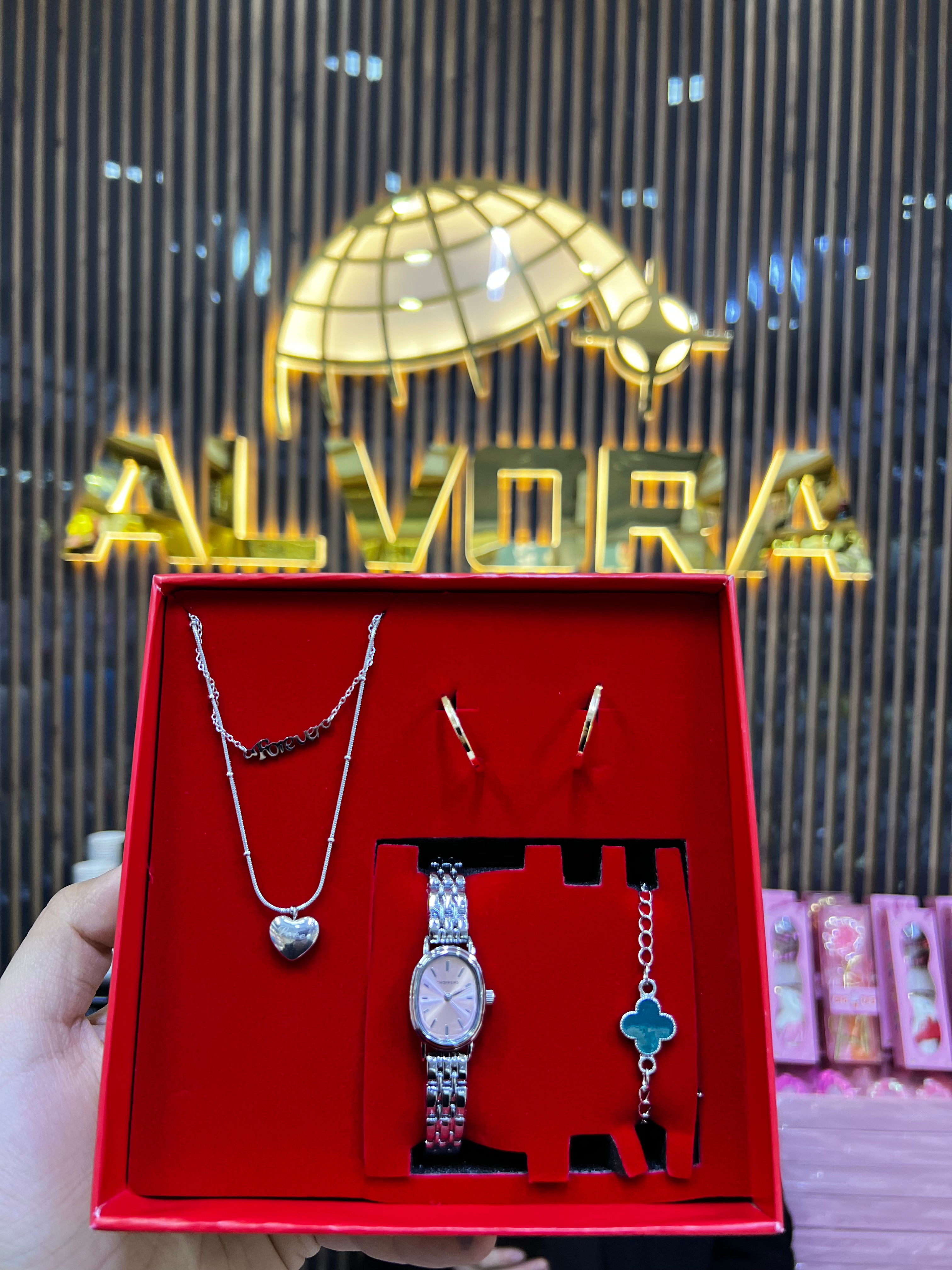 KOMBİN SET 5 PARÇA ÇELİK SAAT ALV-K 166