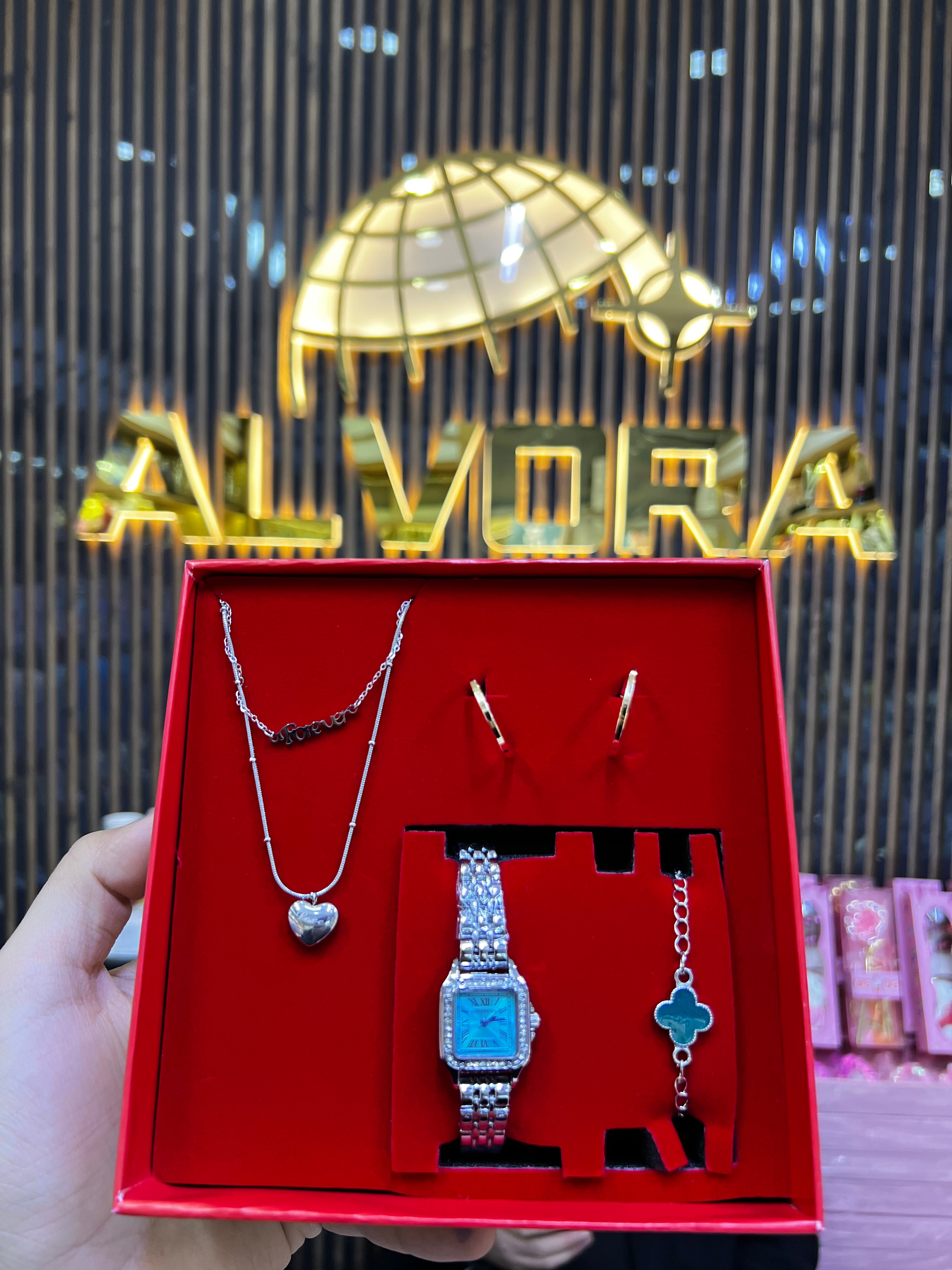 KOMBİN SET 5 PARÇA ÇELİK SAAT ALV-K 166