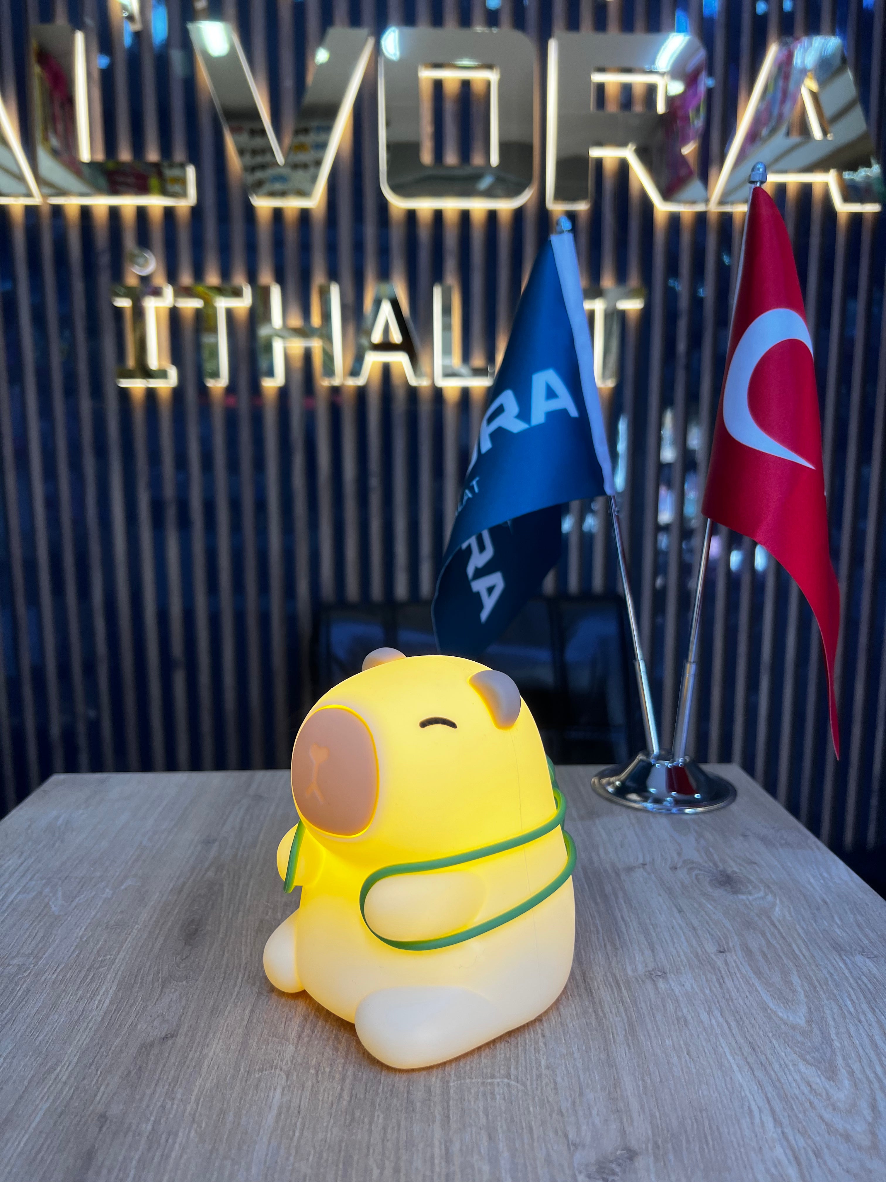 CAPYBARA DEKORATİF DOKUNMATİK GECE LAMBASI *50 ALV - 222