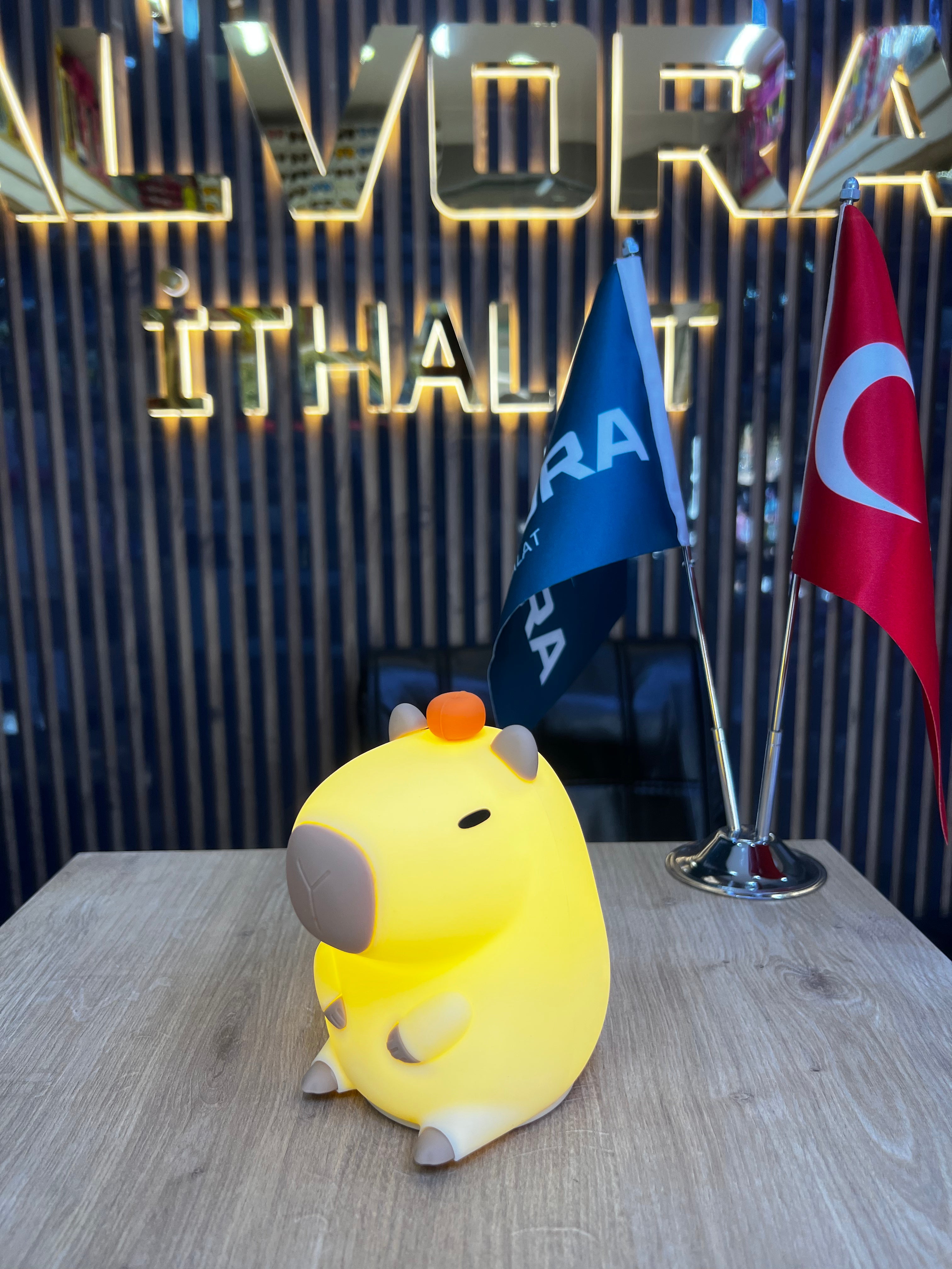 CAPYBARA DEKORATİF DOKUNMATİK GECE LAMBASI *80 ALV - 220